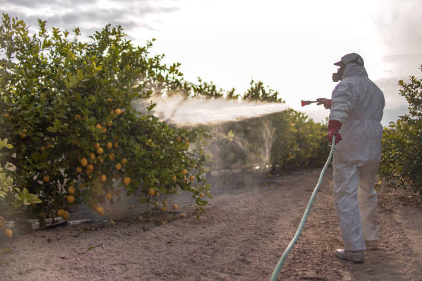 Reliable Owenton, KY Pest Control Solutions